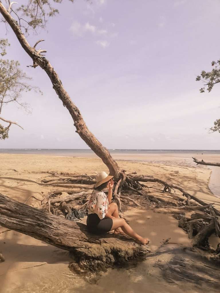 dani sitting on tree looking at the beach. travel destinations in the caribbean